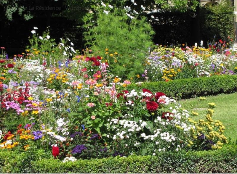 Entreprise de jardinage pour entretenir les espaces verts d'une résidence en copropriété à Marseille 13009