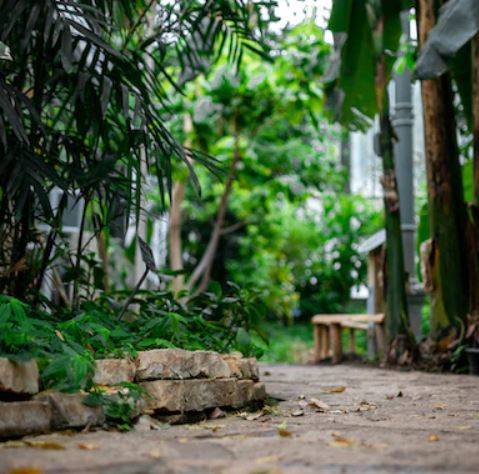 Entretien de jardin pour particuliers à Aix en Provence dans les Bouches du Rhône