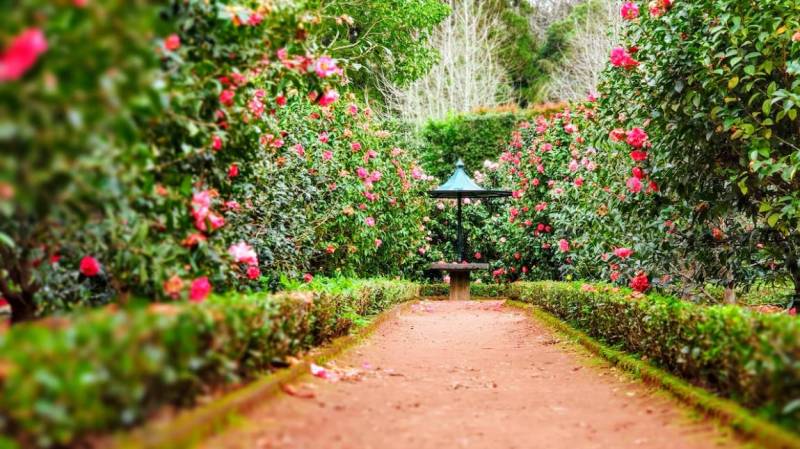 Faire entretenir les jardins d'une copropriété à Aix en Provence par une entreprise spécialisée