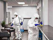 Entreprise de dératisation et désinsectisation à Aubagne dans les Bouches du Rhône